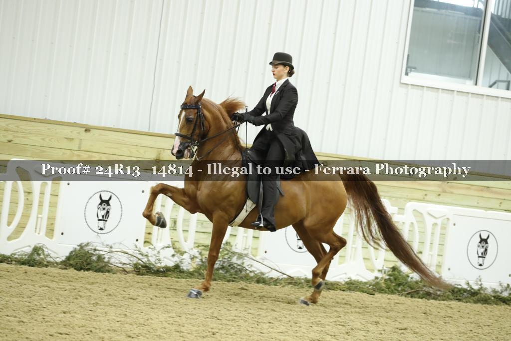 Proof 24R13_14814