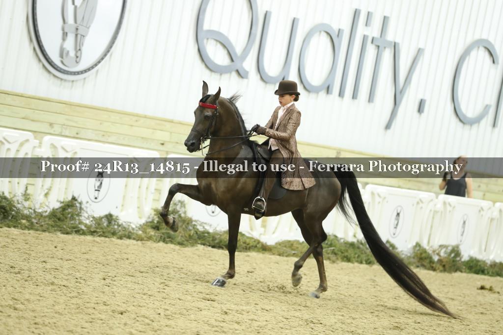Proof 24R13_14815