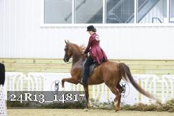 24R13_14817 proof