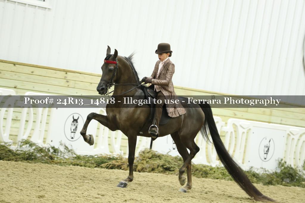 Proof 24R13_14818