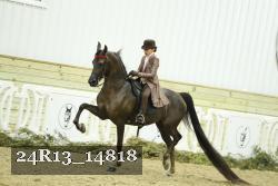 24R13_14818 proof