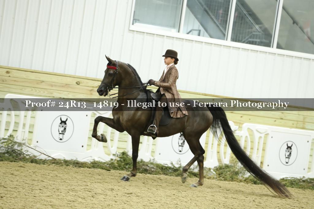 Proof 24R13_14819