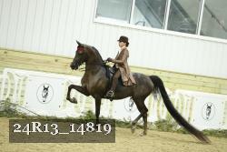 24R13_14819 proof