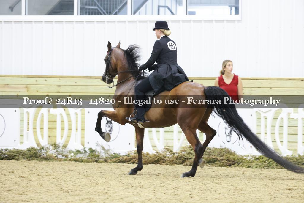 Proof 24R13_14820