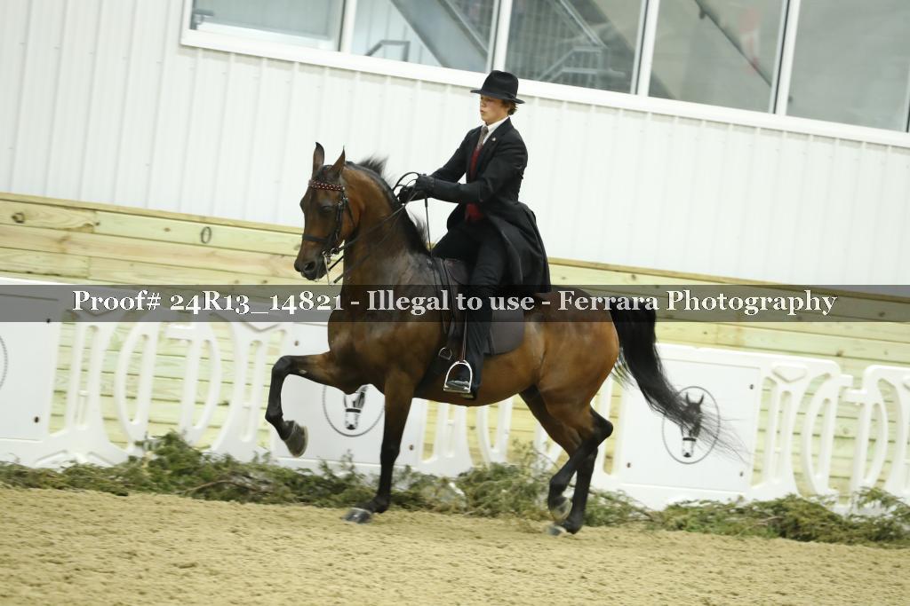 Proof 24R13_14821