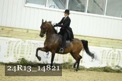 24R13_14821 proof
