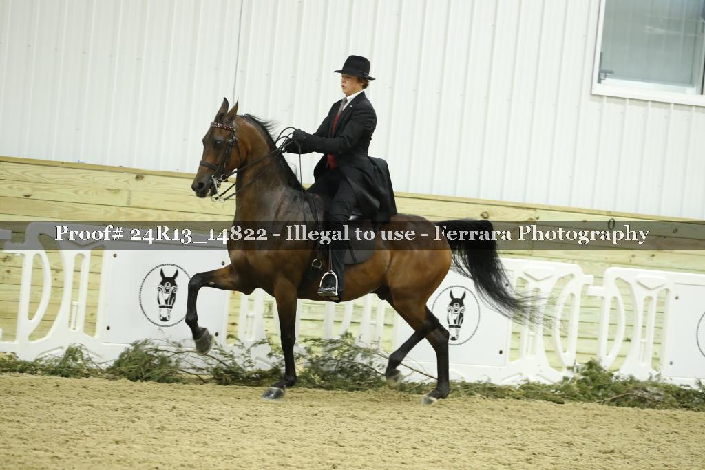 Proof 24R13_14822