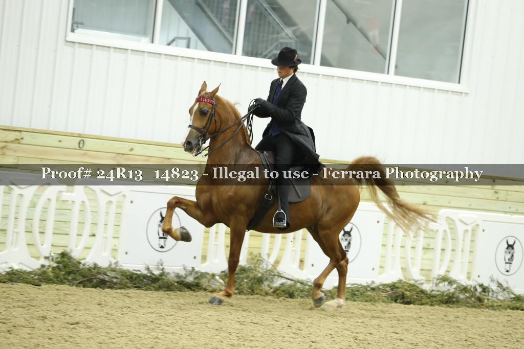 Proof 24R13_14823