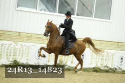 24R13_14823 proof