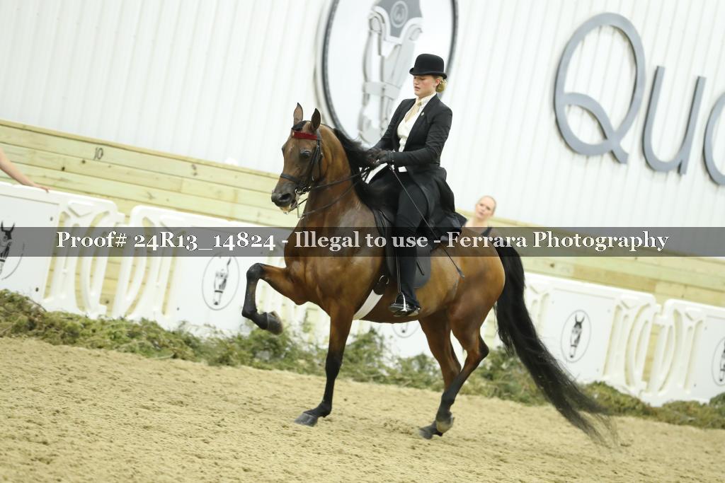 Proof 24R13_14824