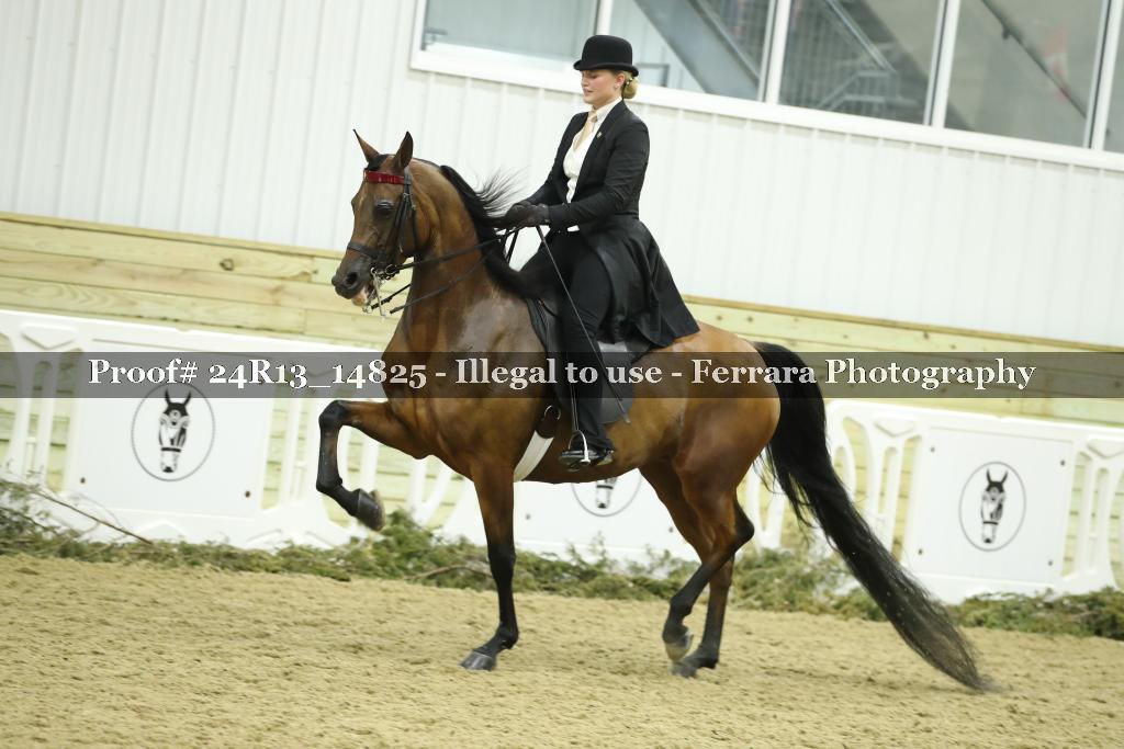Proof 24R13_14825