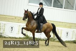 24R13_14825 proof