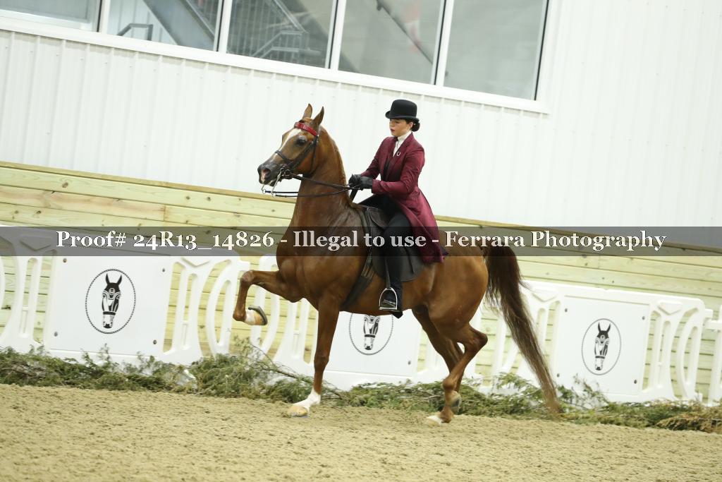 Proof 24R13_14826