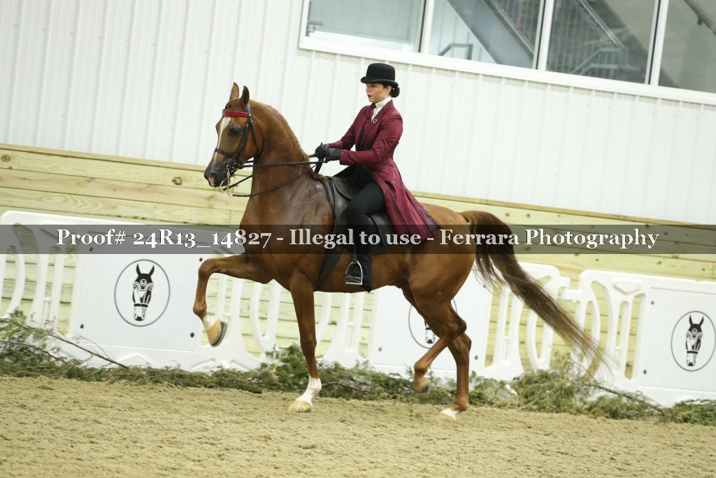 Proof 24R13_14827