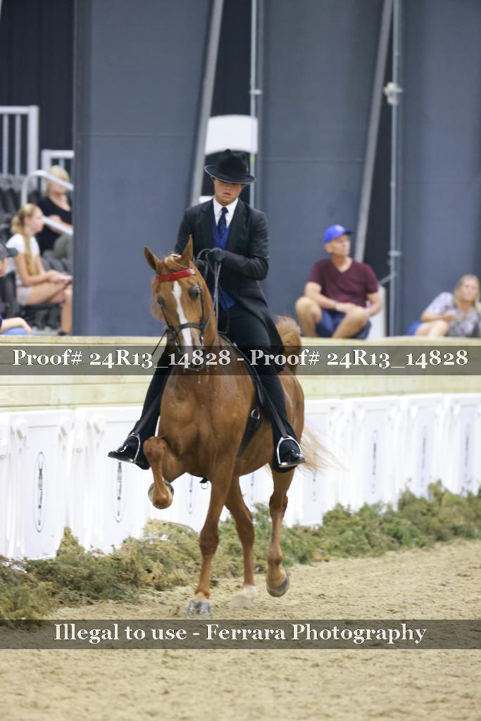 Proof 24R13_14828