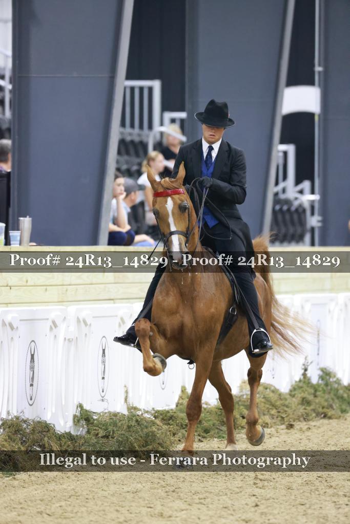 Proof 24R13_14829