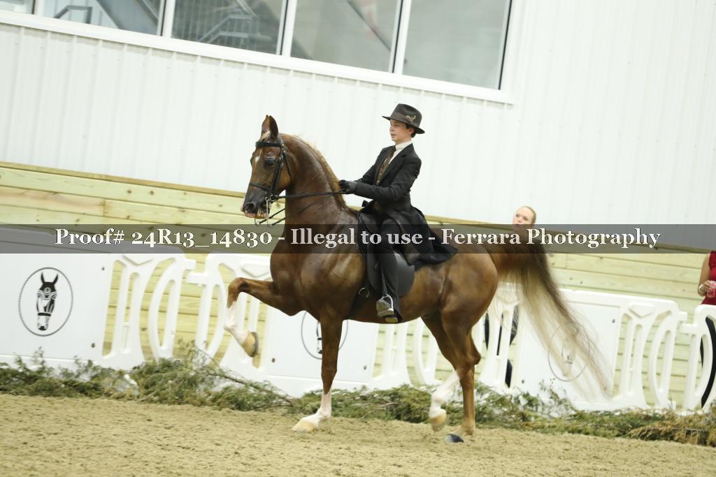 Proof 24R13_14830