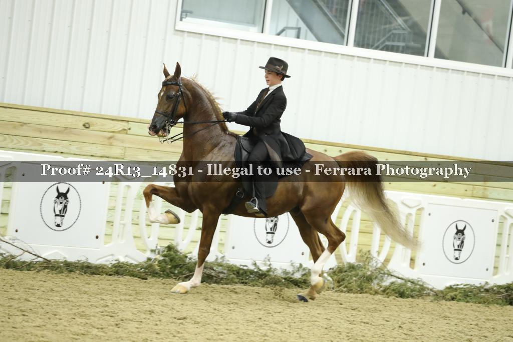 Proof 24R13_14831