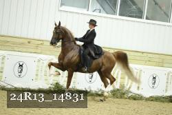 24R13_14831 proof