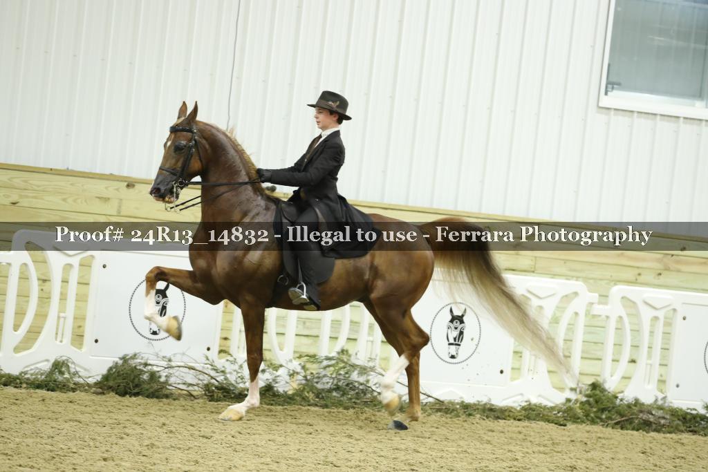 Proof 24R13_14832