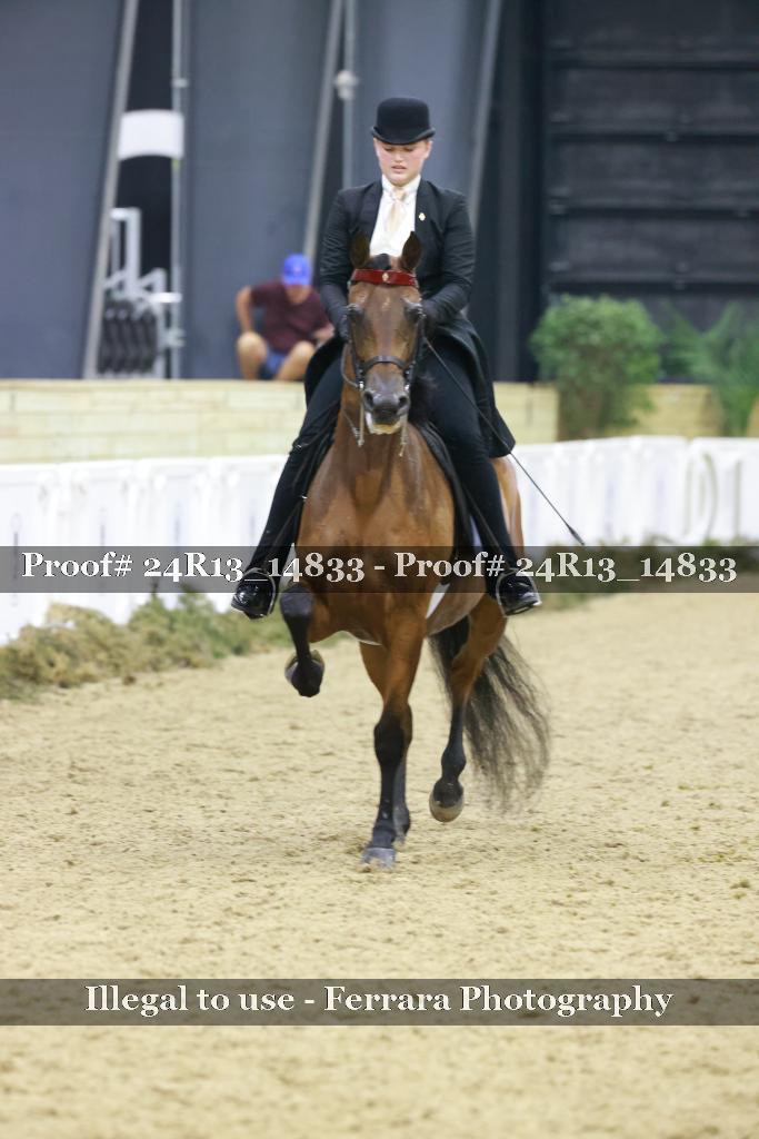 Proof 24R13_14833