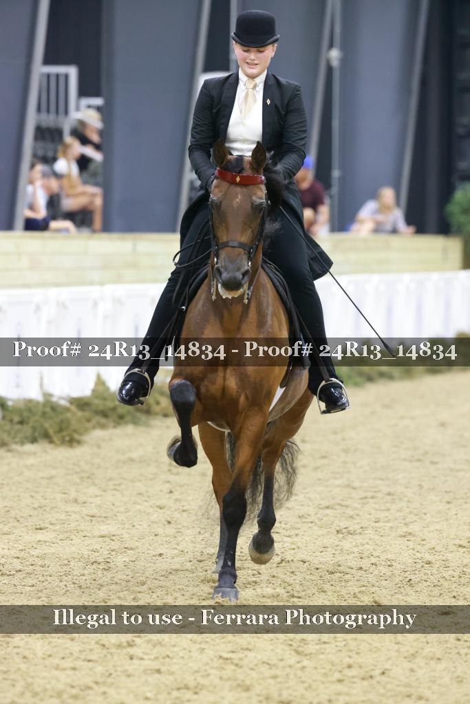 Proof 24R13_14834
