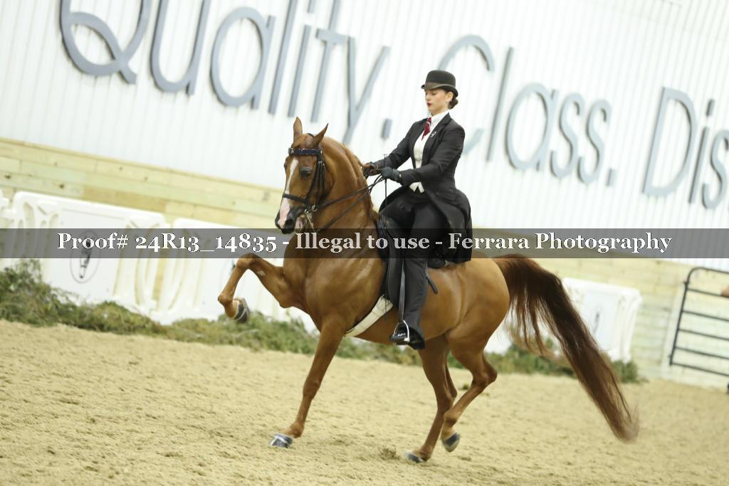 Proof 24R13_14835