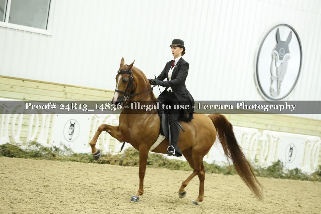 Proof 24R13_14836