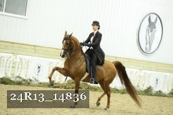 24R13_14836 proof