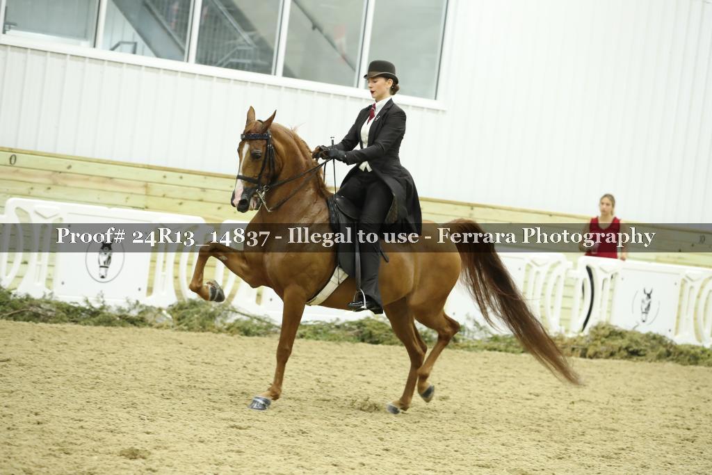 Proof 24R13_14837