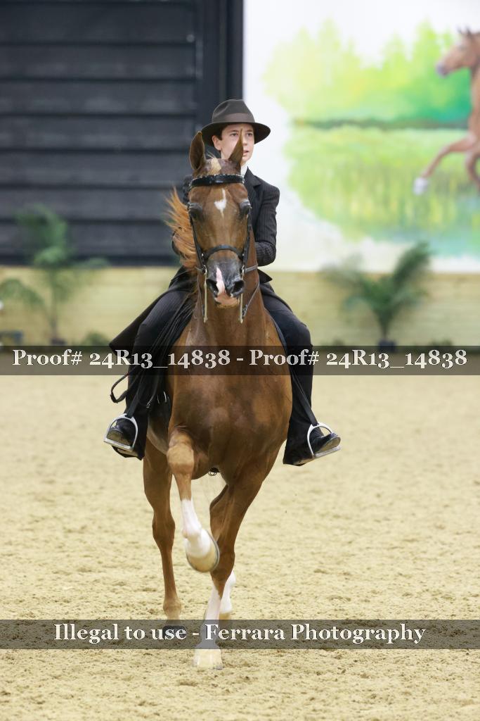 Proof 24R13_14838