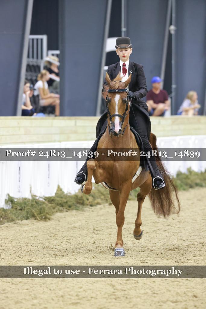 Proof 24R13_14839