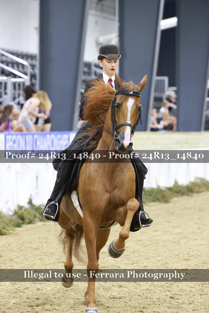 Proof 24R13_14840