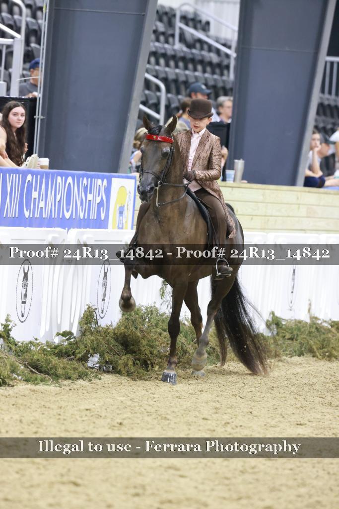 Proof 24R13_14842