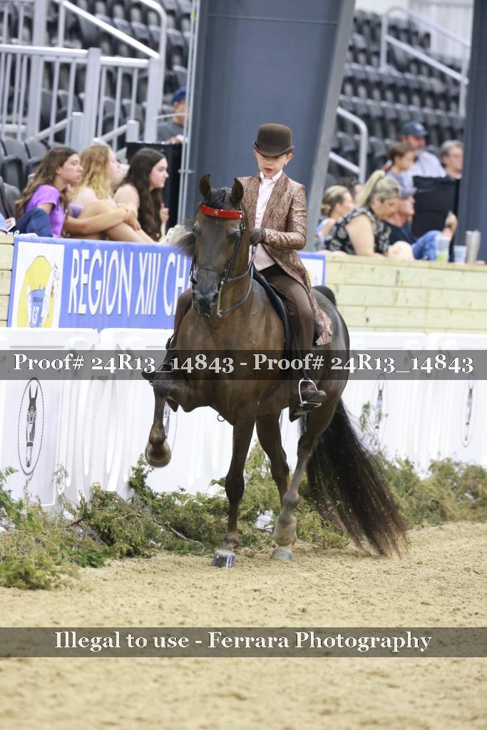 Proof 24R13_14843