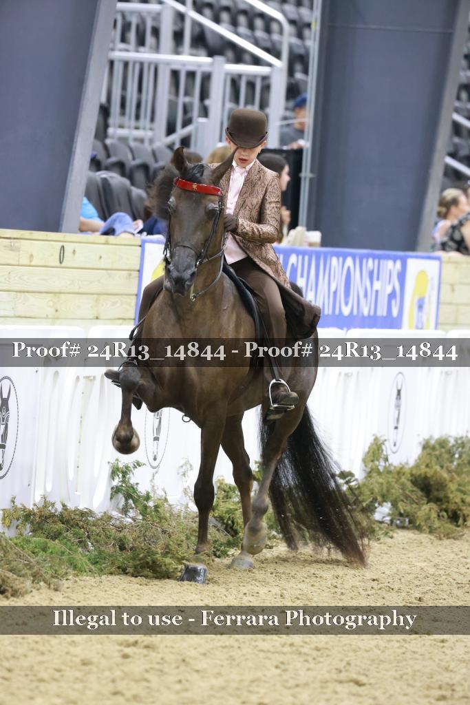 Proof 24R13_14844