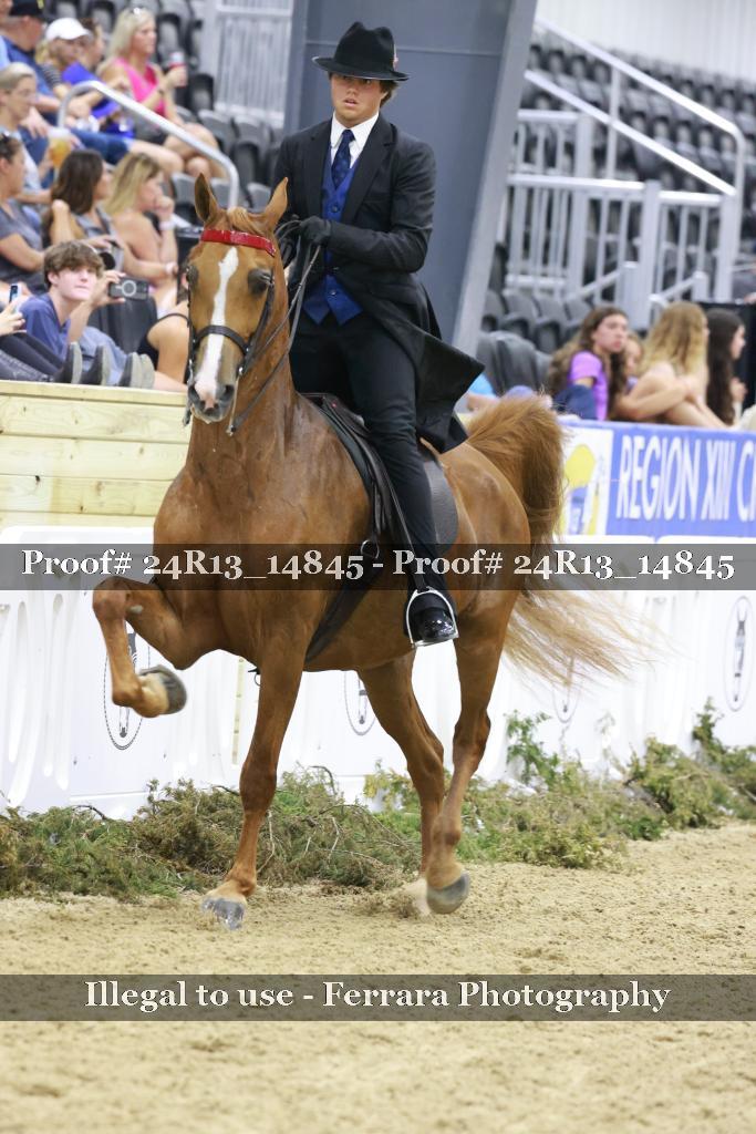 Proof 24R13_14845