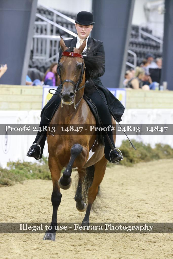 Proof 24R13_14847