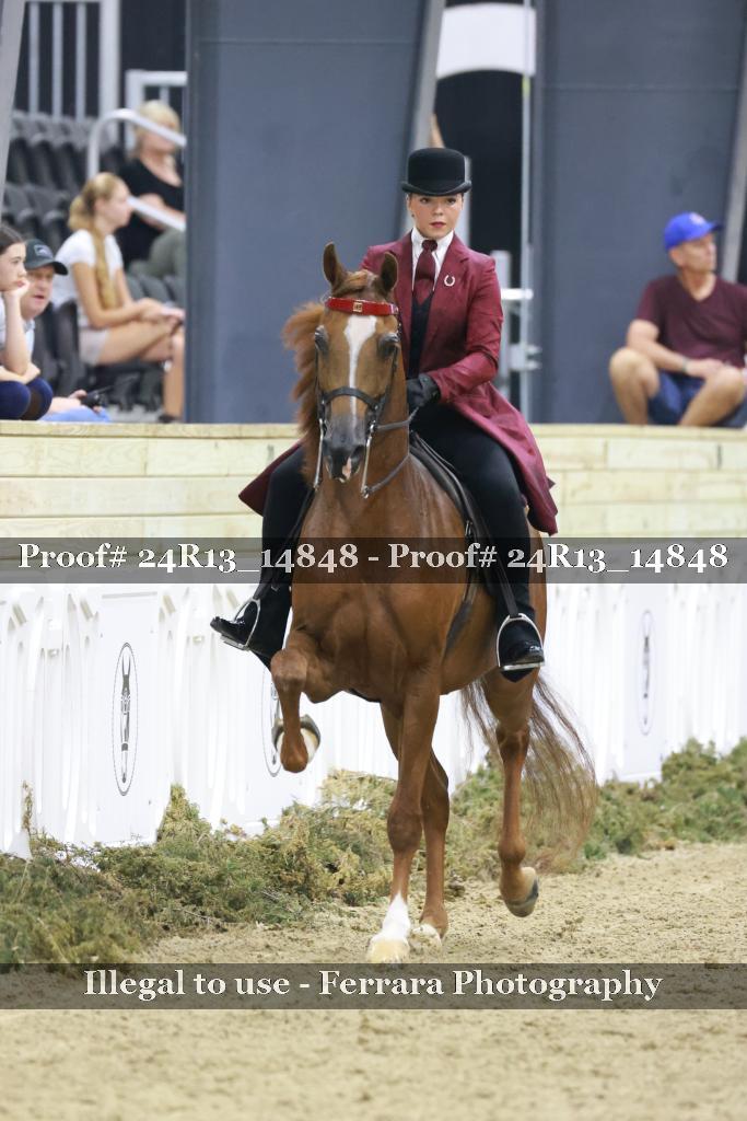 Proof 24R13_14848