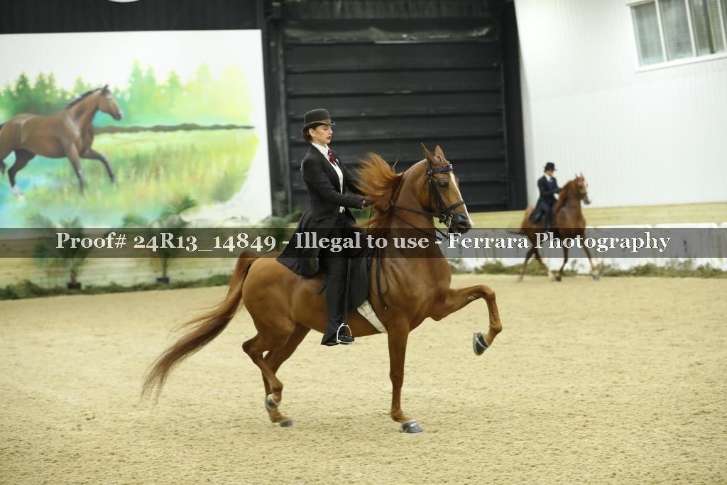 Proof 24R13_14849