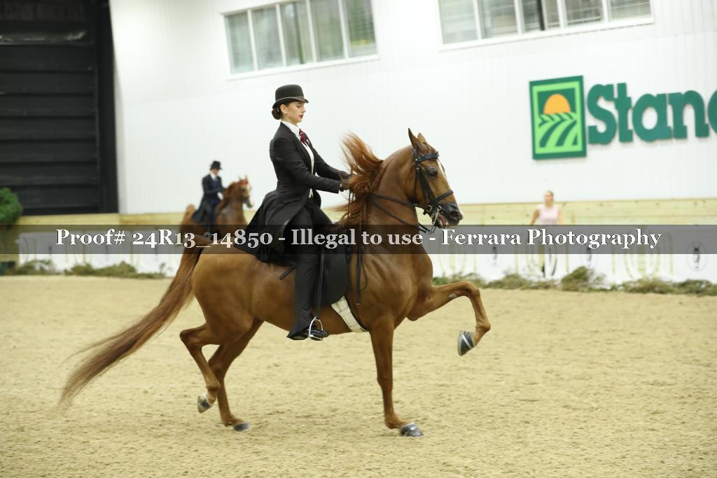 Proof 24R13_14850