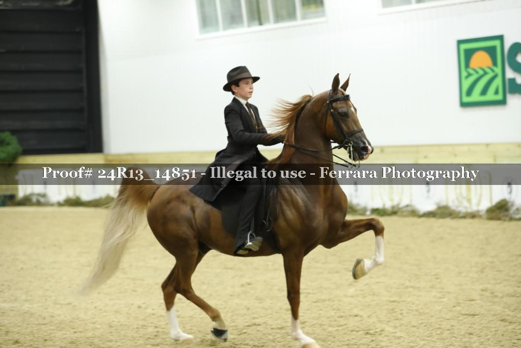 Proof 24R13_14851
