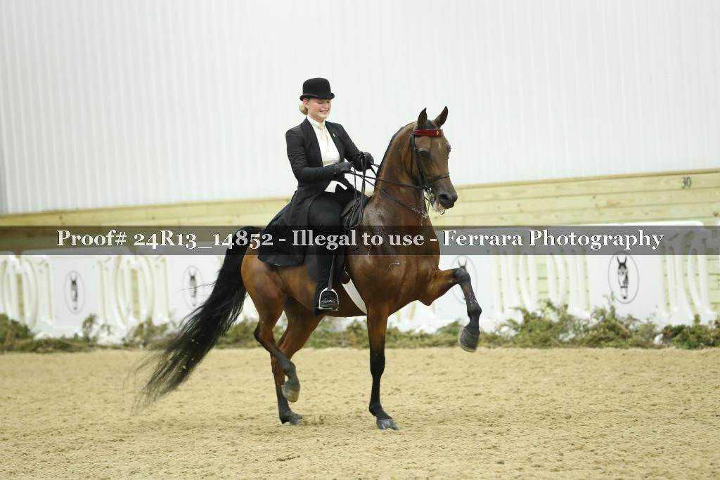 Proof 24R13_14852