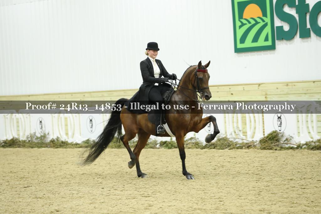Proof 24R13_14853