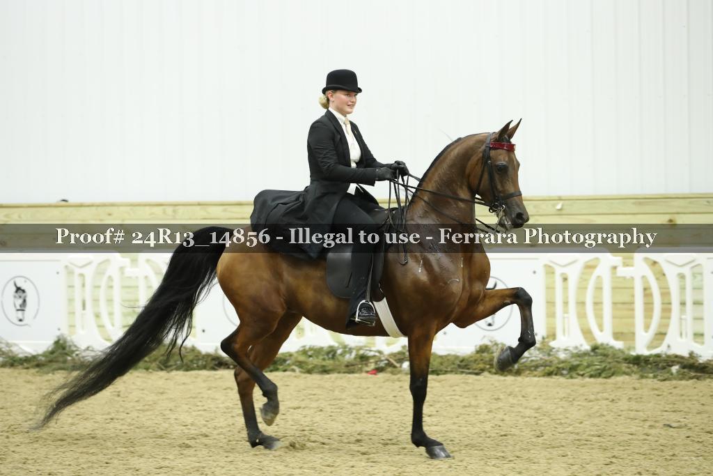 Proof 24R13_14856