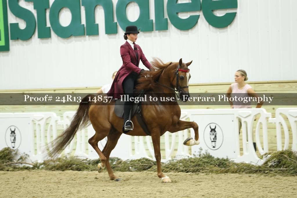 Proof 24R13_14857