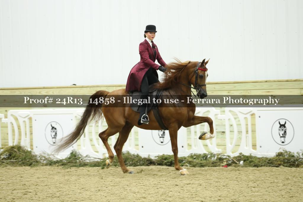 Proof 24R13_14858