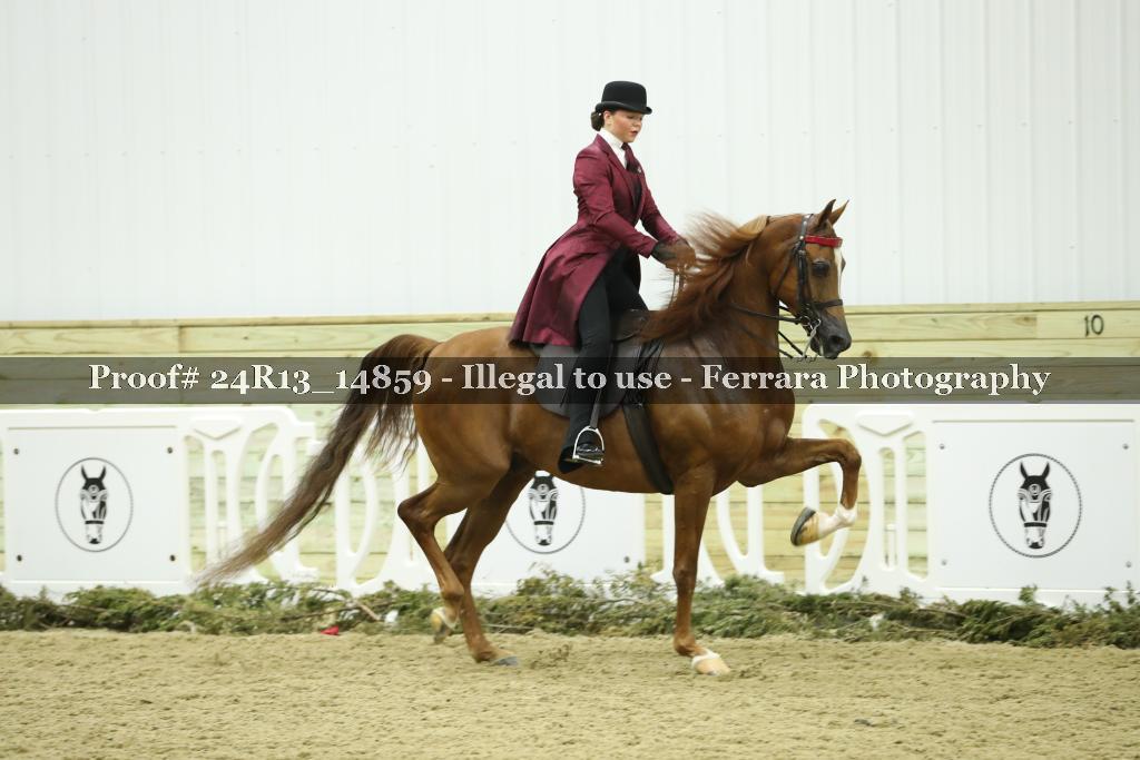 Proof 24R13_14859