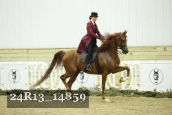 24R13_14859 proof