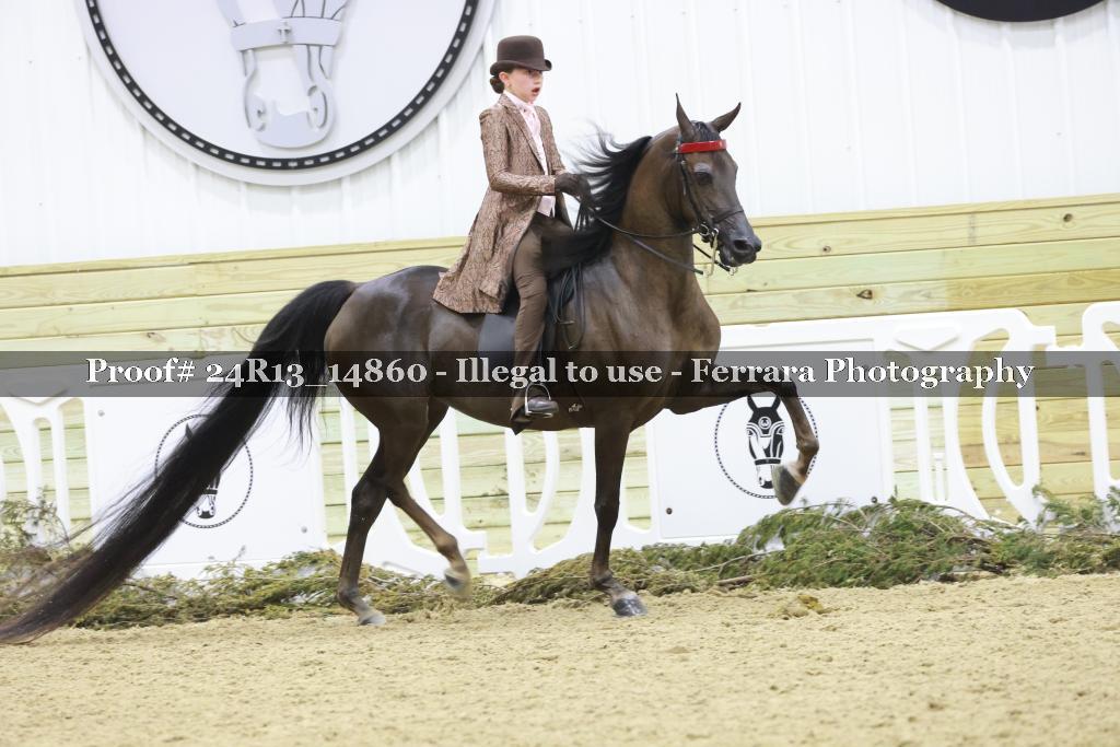 Proof 24R13_14860